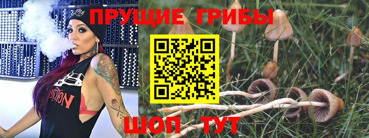Псилоцибиновые грибы прущие грибы  Вход с VPN  Чернушка 