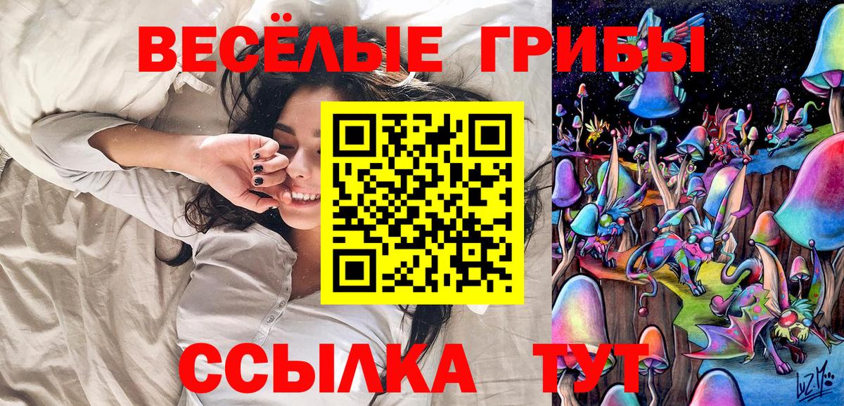 Галлюциногенные грибы мицелий Чернушка