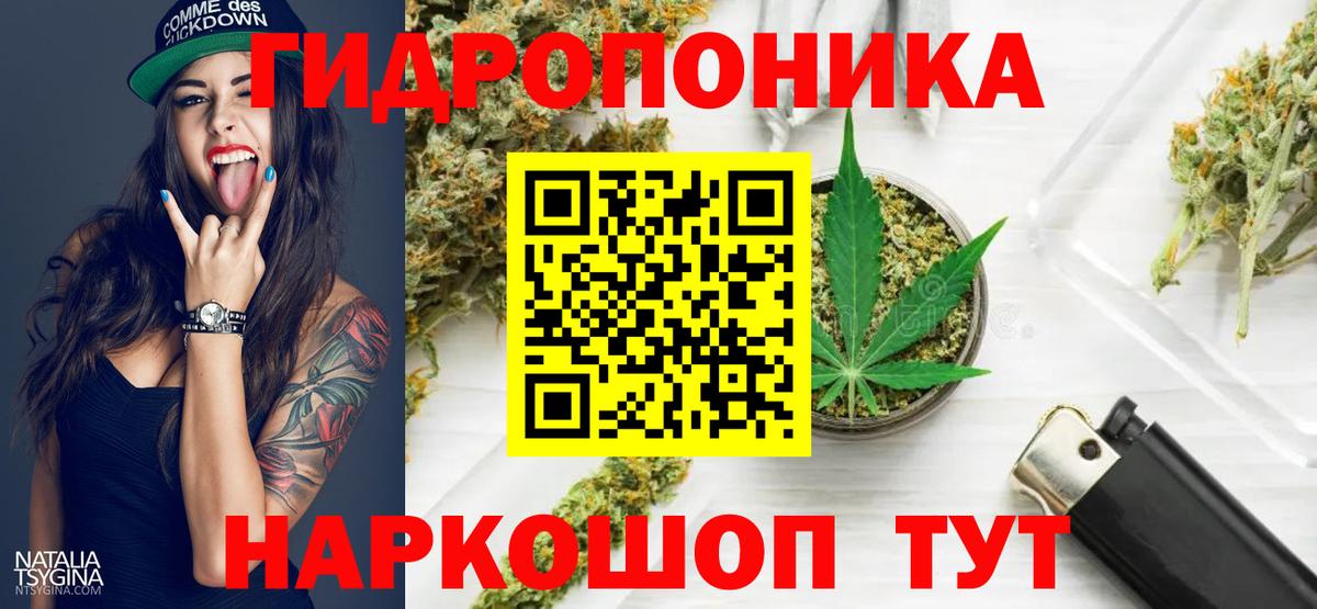 МАРИХУАНА OG Kush Чернушка